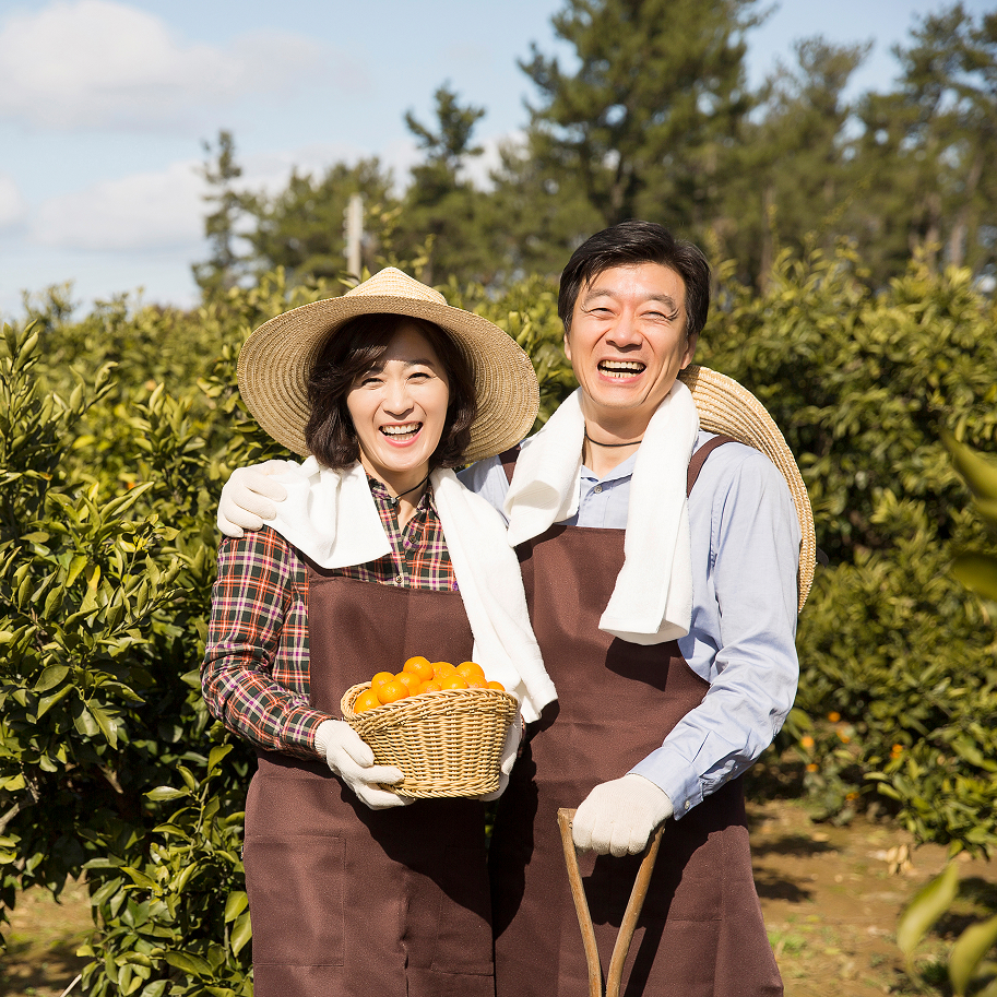 먹거리 거버넌스 배경 이미지